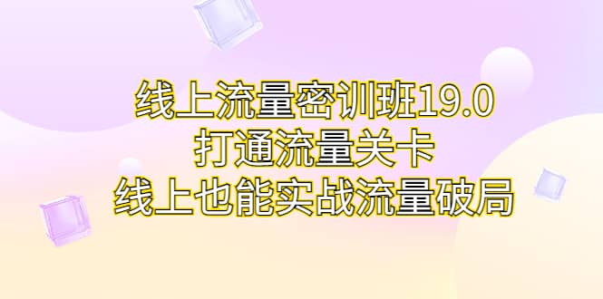  线上流量密训班19.0，打通流量关卡，线上也能实战流量破局