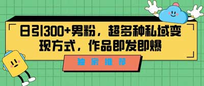 【独家推荐】日引300男粉，超多种私域变现方式，作品即发即报